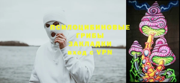 героин Ладушкин