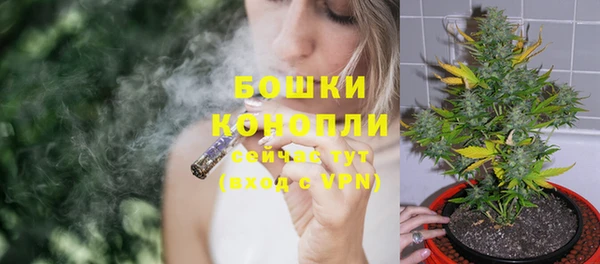 молекула духа Лагань