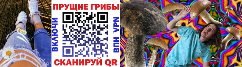 Псилоцибиновые грибы прущие грибы  Купить закладки  Южно-Сахалинск 